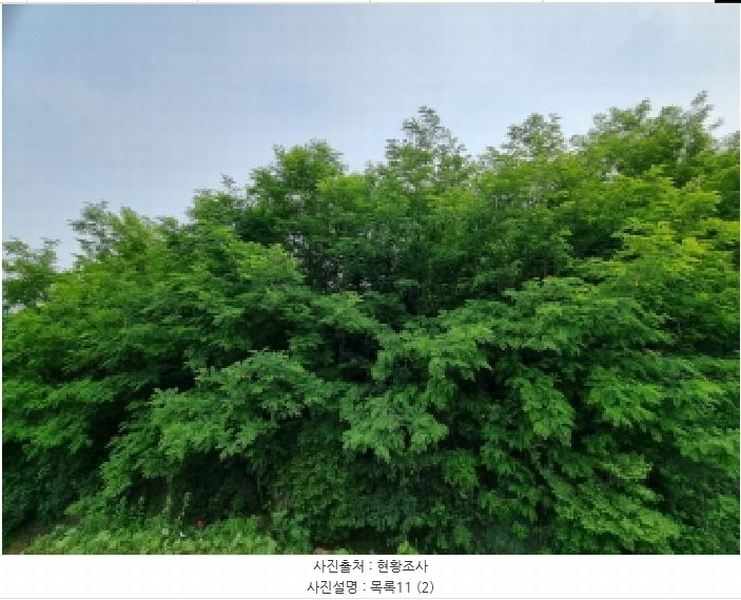 2025타경502555 세종특별자치시 장군면 용암리 산107-16 임야 경매 이미지