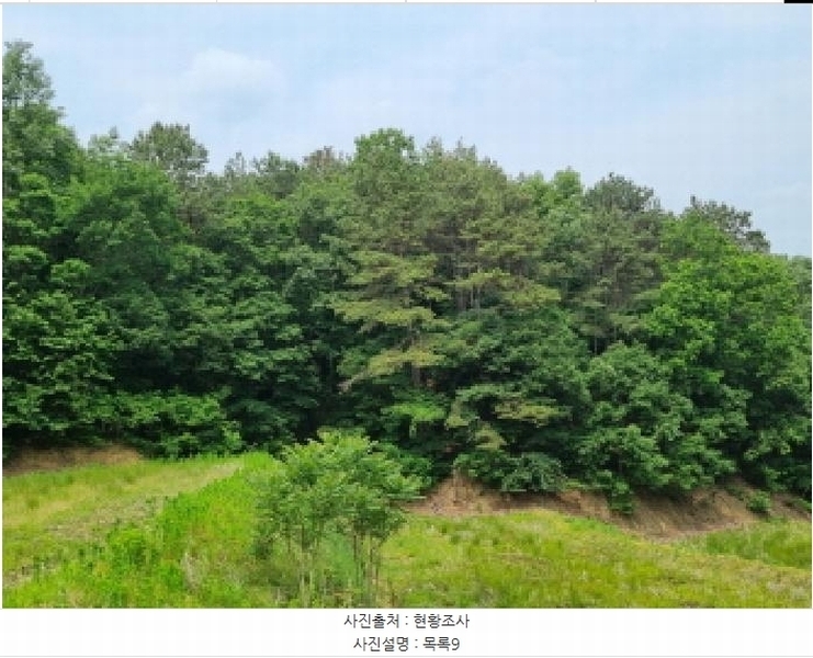2025타경502555 세종특별자치시 장군면 용암리 산107-16 임야 경매 이미지