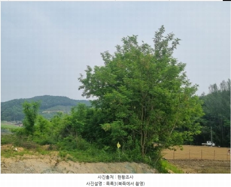 2025타경502555 세종특별자치시 장군면 용암리 산107-16 임야 경매 이미지