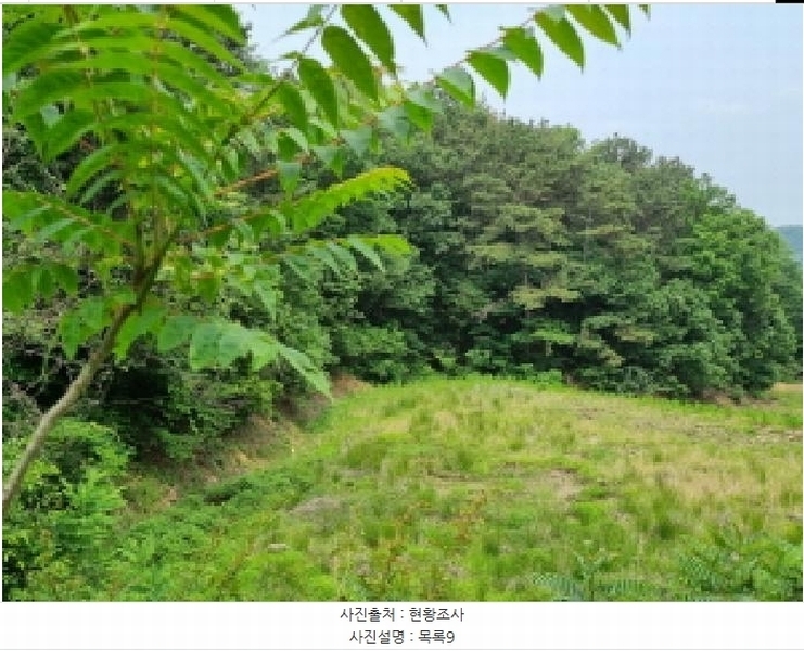 2025타경502555 세종특별자치시 장군면 용암리 산107-16 임야 경매 이미지