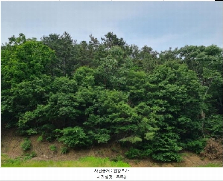 2025타경502555 세종특별자치시 장군면 용암리 산107-16 임야 경매 이미지