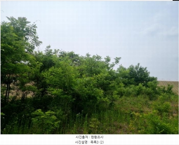 2025타경502555 세종특별자치시 장군면 용암리 산107-16 임야 경매 이미지