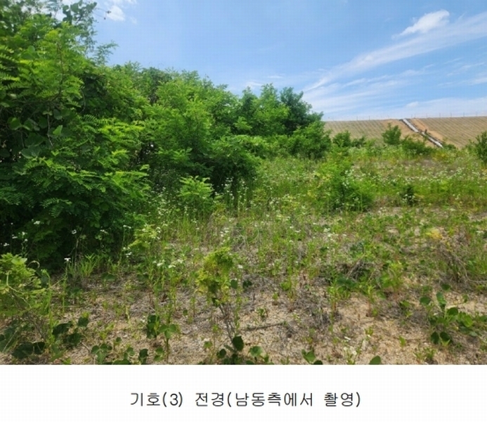 2025타경502555 세종특별자치시 장군면 용암리 산107-16 임야 경매 이미지