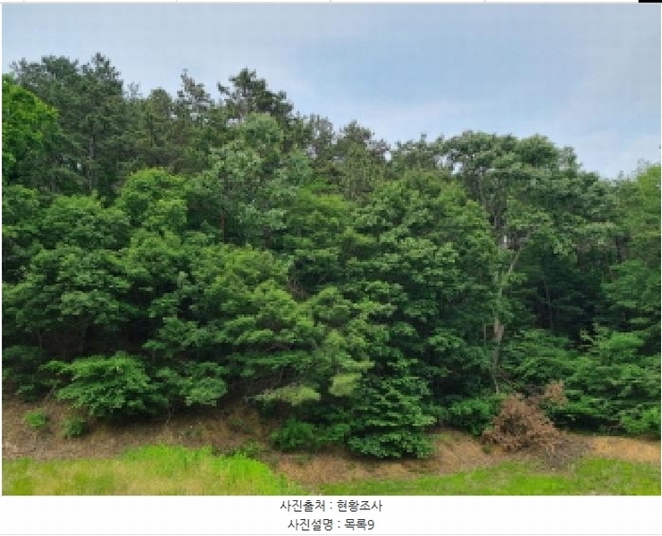 2025타경502555 세종특별자치시 장군면 용암리 산107-16 임야 경매 이미지
