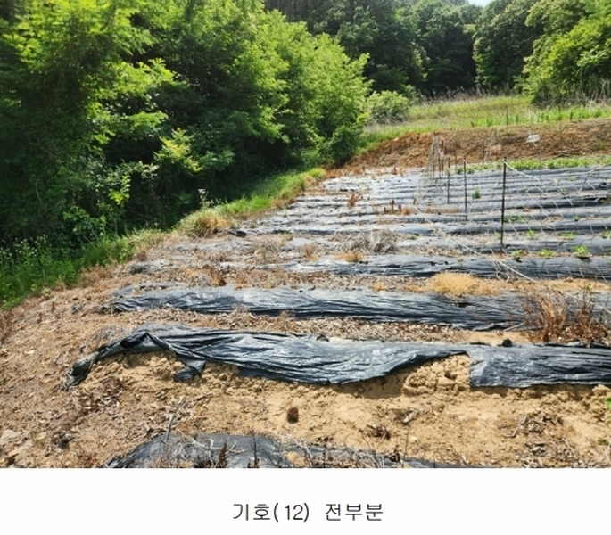 2025타경502555 세종특별자치시 장군면 용암리 산107-16 임야 경매 이미지