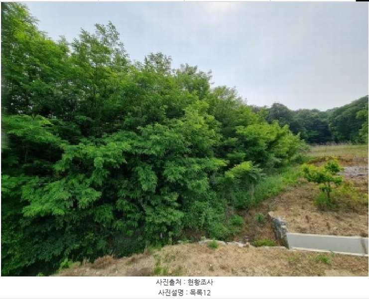 2025타경502555 세종특별자치시 장군면 용암리 산107-16 임야 경매 이미지