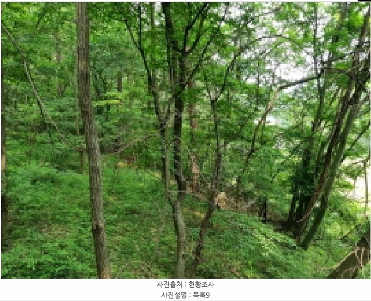 2025타경502555 세종특별자치시 장군면 용암리 산107-16 임야 경매 이미지
