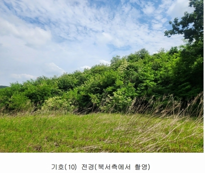 2025타경502555 세종특별자치시 장군면 용암리 산107-16 임야 경매 이미지