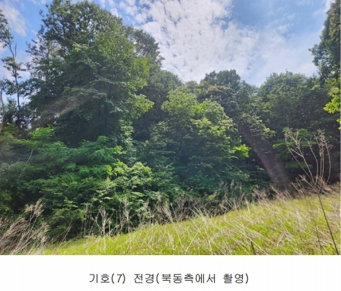2025타경502555 세종특별자치시 장군면 용암리 산107-16 임야 경매 이미지