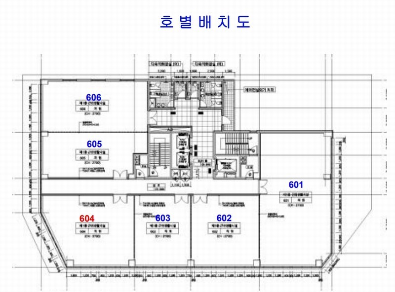 2025타경502934 대전광역시 서구 대덕대로 244, 건국타워 6층 604호 근린상가 경매 이미지