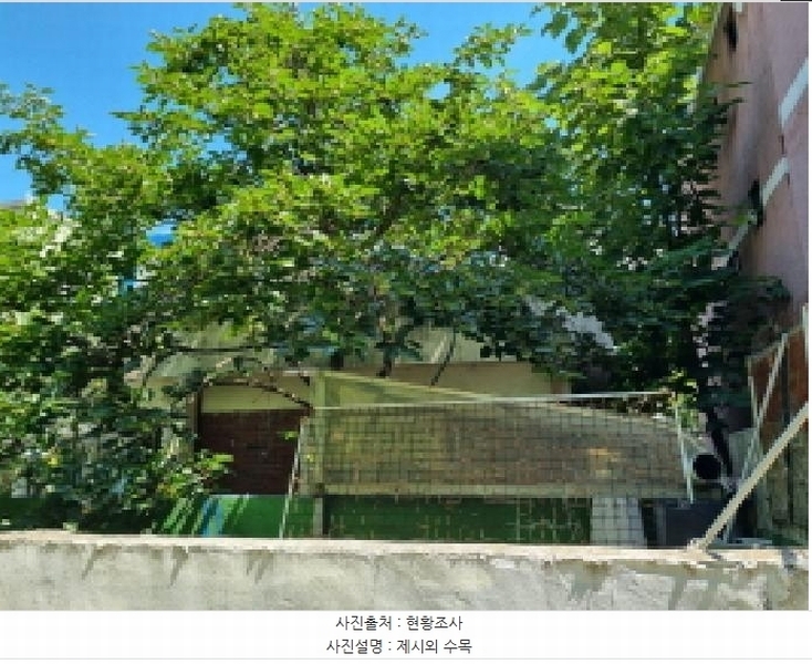 2025타경503062 대전광역시 동구 자양동 53-35 주택 경매 이미지