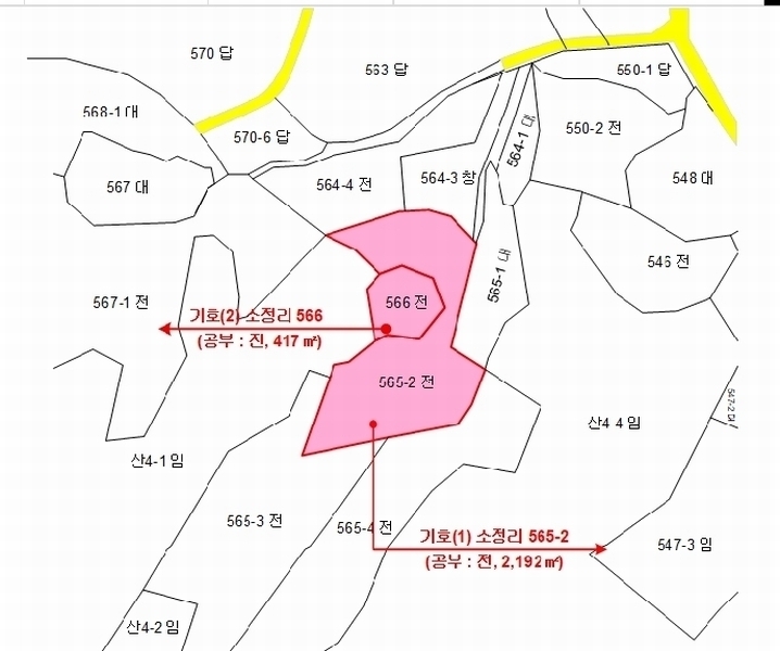 2025타경503312 세종특별자치시 소정면 소정리 565-2 농지 경매 이미지