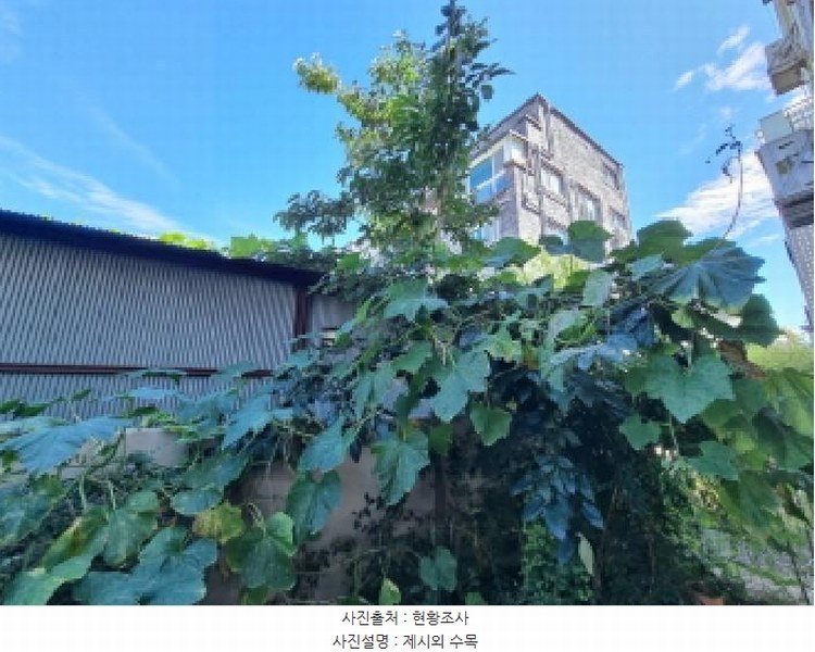 2025타경503335 대전광역시 서구 가장동 28-34 다가구(원룸등) 경매 이미지
