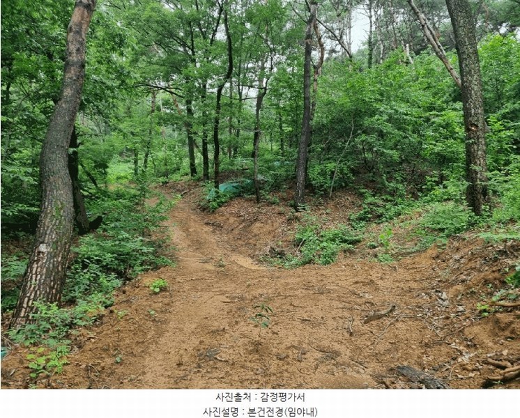2025타경3819 경상북도 포항시 남구 이동 산96-1 임야 경매 이미지