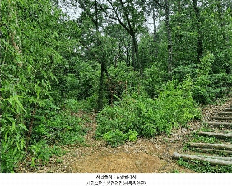 2025타경3819 경상북도 포항시 남구 이동 산96-1 임야 경매 이미지