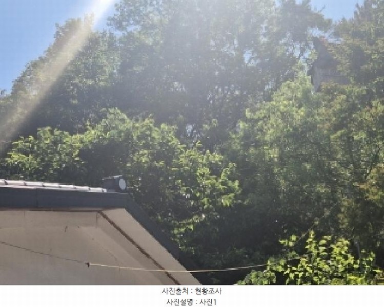 2025타경3819 경상북도 포항시 남구 이동 산96-1 임야 경매 이미지
