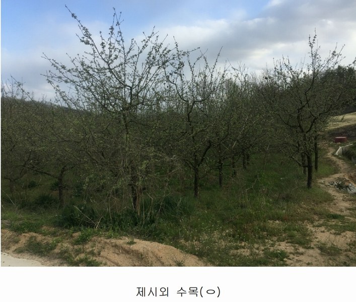 2020타경102679 충청남도 금산군 제원면 명곡리 686-2 공장 경매 이미지