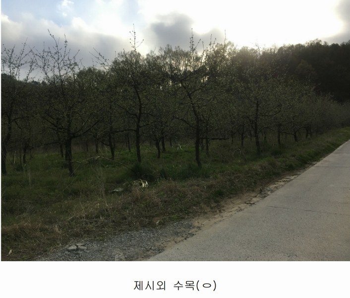 2020타경102679 충청남도 금산군 제원면 명곡리 686-2 공장 경매 이미지