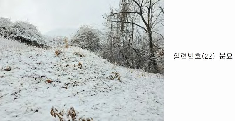 2020타경102679 충청남도 금산군 제원면 명곡리 686-2 공장 경매 이미지