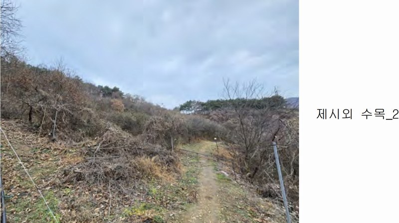 2020타경102679 충청남도 금산군 제원면 명곡리 686-2 공장 경매 이미지