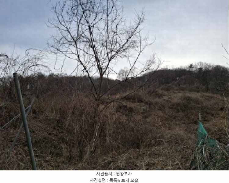 2025타경1580 대전광역시 동구 상소동 산7-1 임야 경매 이미지