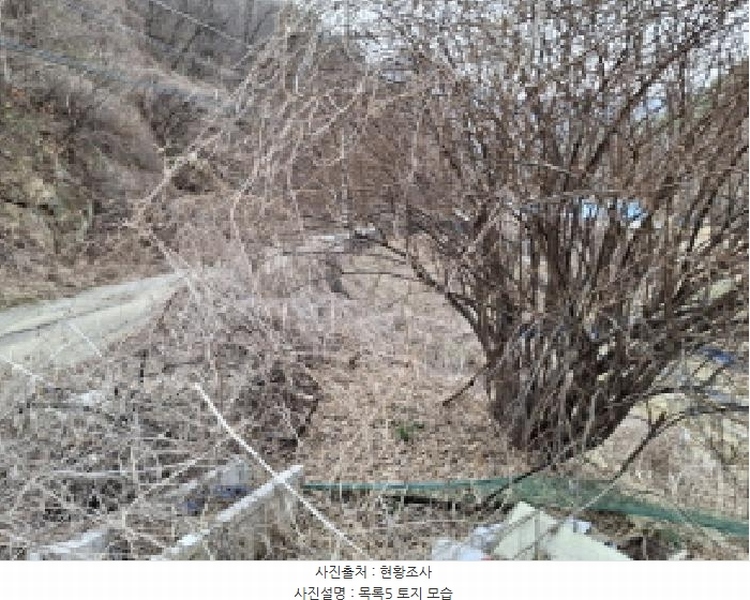 2025타경1580 대전광역시 동구 상소동 산7-1 임야 경매 이미지