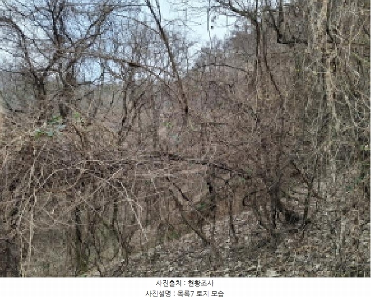 2025타경1580 대전광역시 동구 상소동 산7-1 임야 경매 이미지