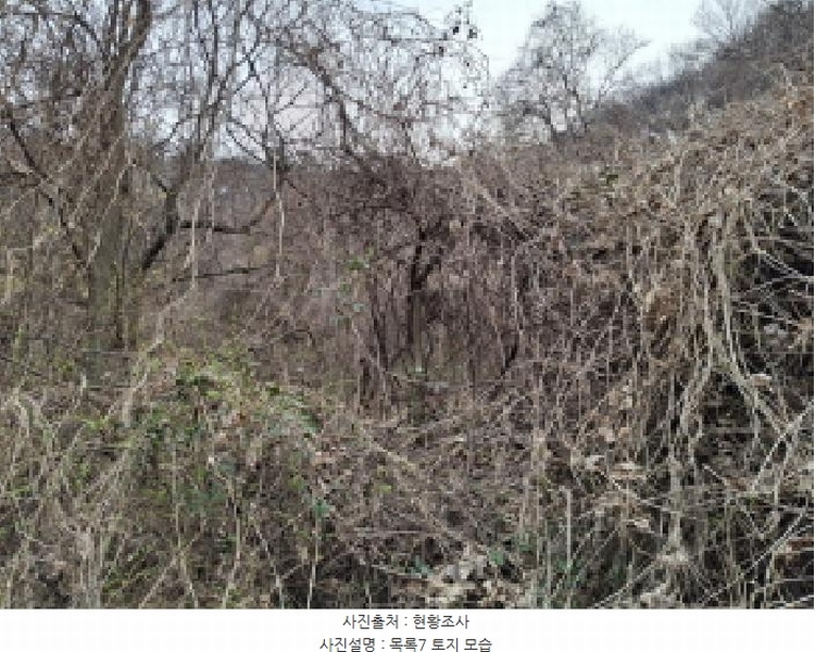 2025타경1580 대전광역시 동구 상소동 산7-1 임야 경매 이미지