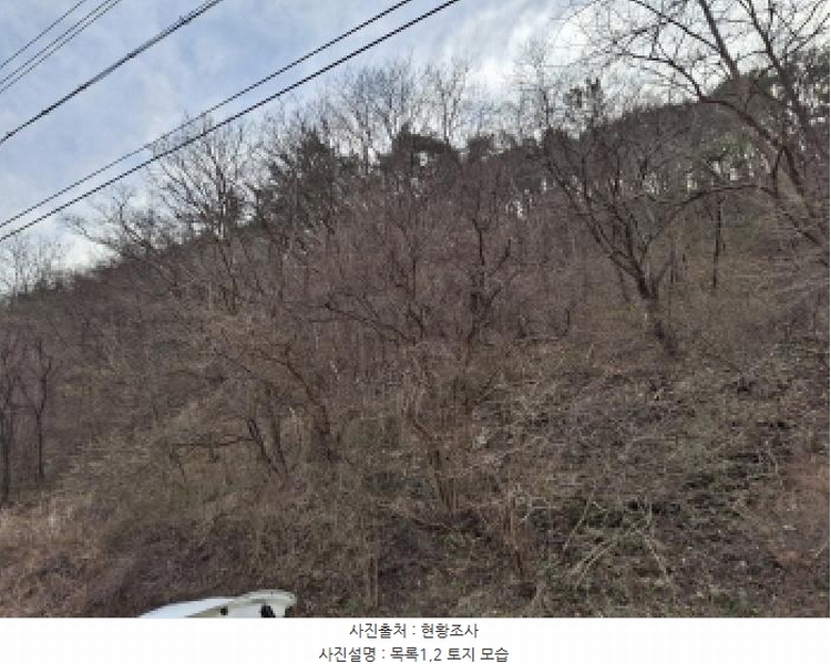 2025타경1580 대전광역시 동구 상소동 산7-1 임야 경매 이미지