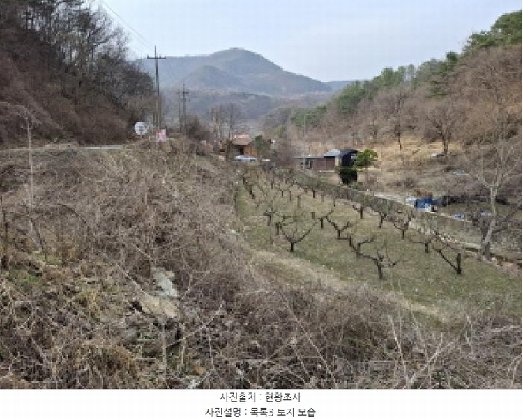 2025타경1580 대전광역시 동구 상소동 산7-1 임야 경매 이미지
