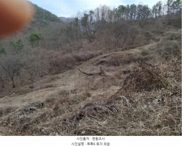 2025타경1580 대전광역시 동구 상소동 산7-1 임야 경매 이미지