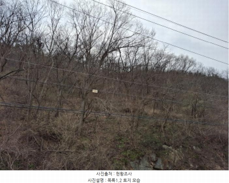 2025타경1580 대전광역시 동구 상소동 산7-1 임야 경매 이미지