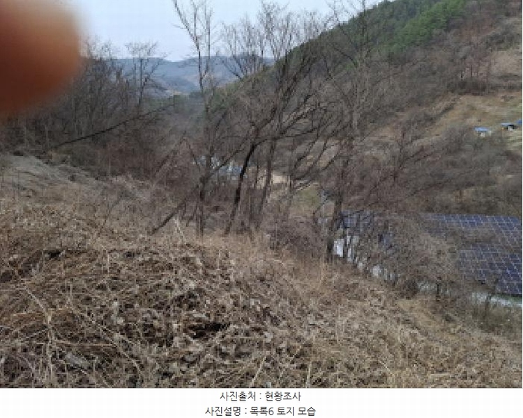 2025타경1580 대전광역시 동구 상소동 산7-1 임야 경매 이미지