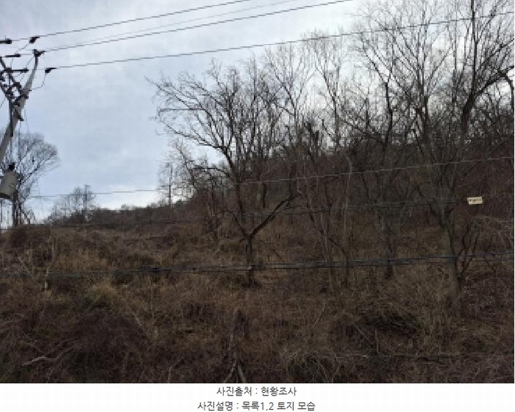 2025타경1580 대전광역시 동구 상소동 산7-1 임야 경매 이미지