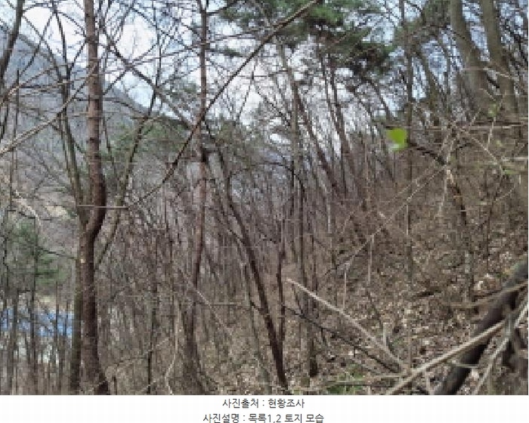 2025타경1580 대전광역시 동구 상소동 산7-1 임야 경매 이미지