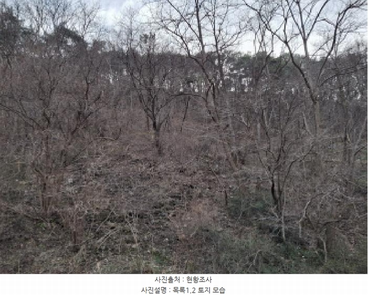 2025타경1580 대전광역시 동구 상소동 산7-1 임야 경매 이미지