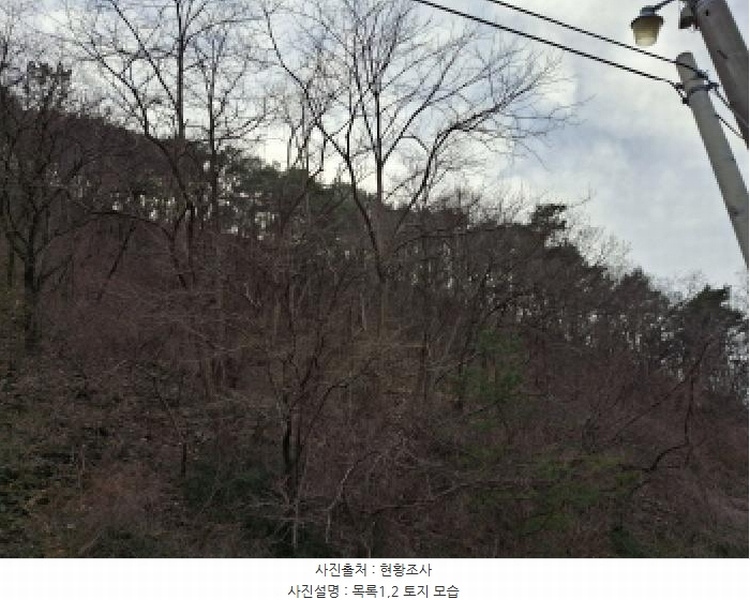 2025타경1580 대전광역시 동구 상소동 산7-1 임야 경매 이미지