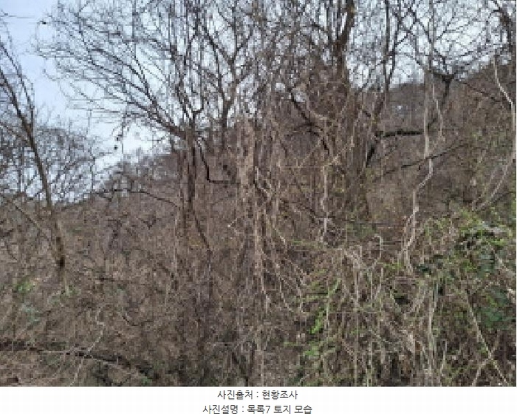 2025타경1580 대전광역시 동구 상소동 산7-1 임야 경매 이미지