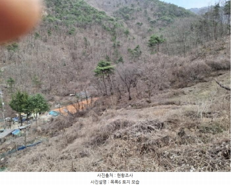 2025타경1580 대전광역시 동구 상소동 산7-1 임야 경매 이미지