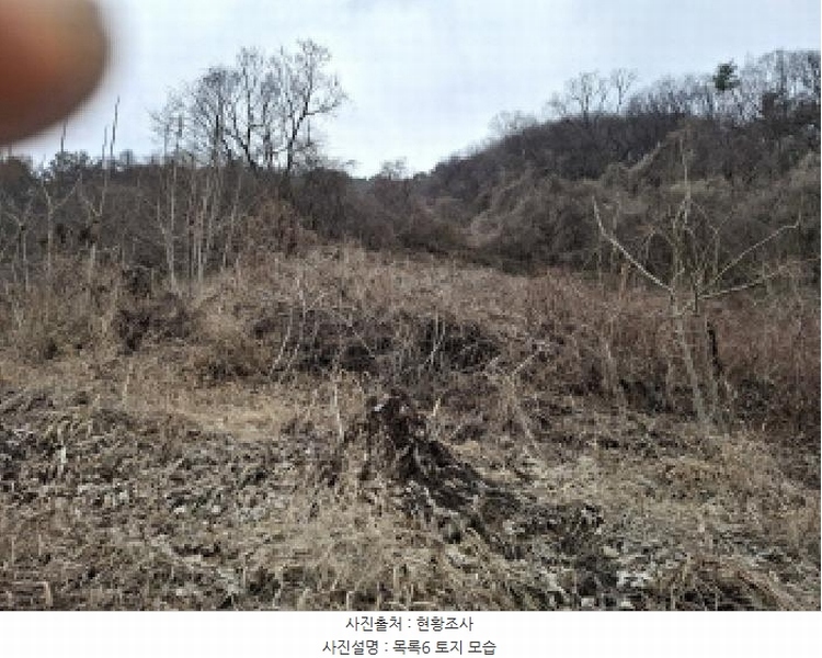 2025타경1580 대전광역시 동구 상소동 산7-1 임야 경매 이미지
