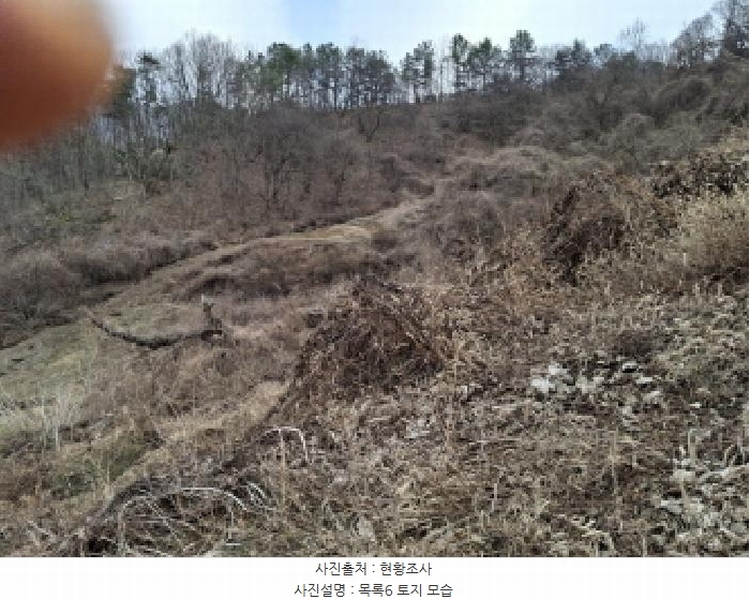 2025타경1580 대전광역시 동구 상소동 산7-1 임야 경매 이미지
