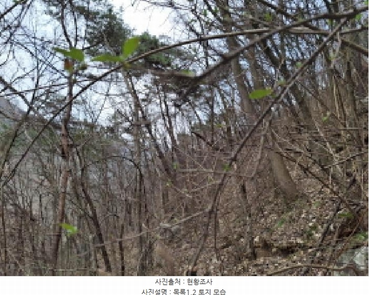 2025타경1580 대전광역시 동구 상소동 산7-1 임야 경매 이미지