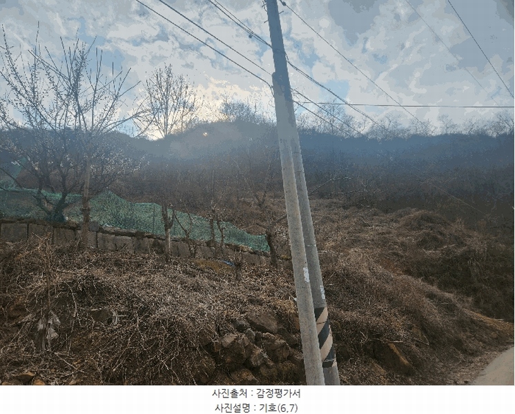 2025타경1580 대전광역시 동구 상소동 산7-1 임야 경매 이미지