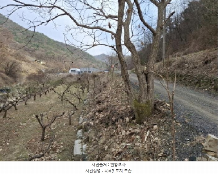 2025타경1580 대전광역시 동구 상소동 산7-1 임야 경매 이미지