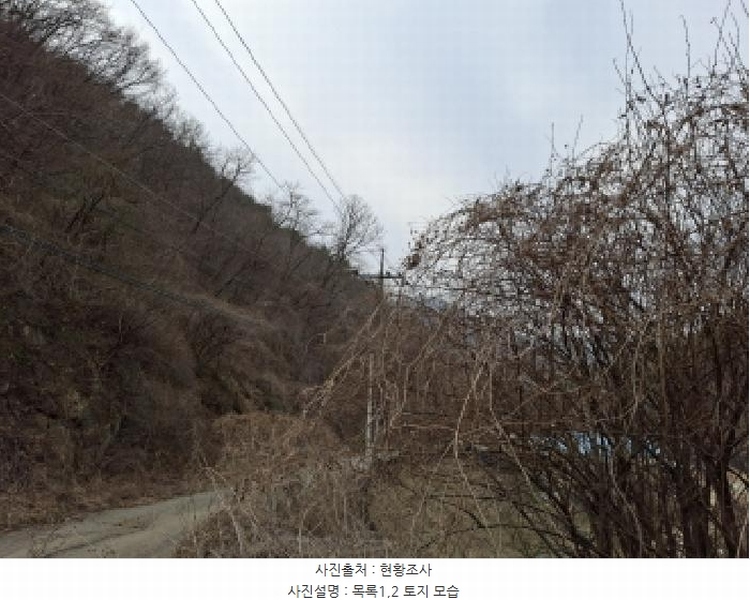 2025타경1580 대전광역시 동구 상소동 산7-1 임야 경매 이미지