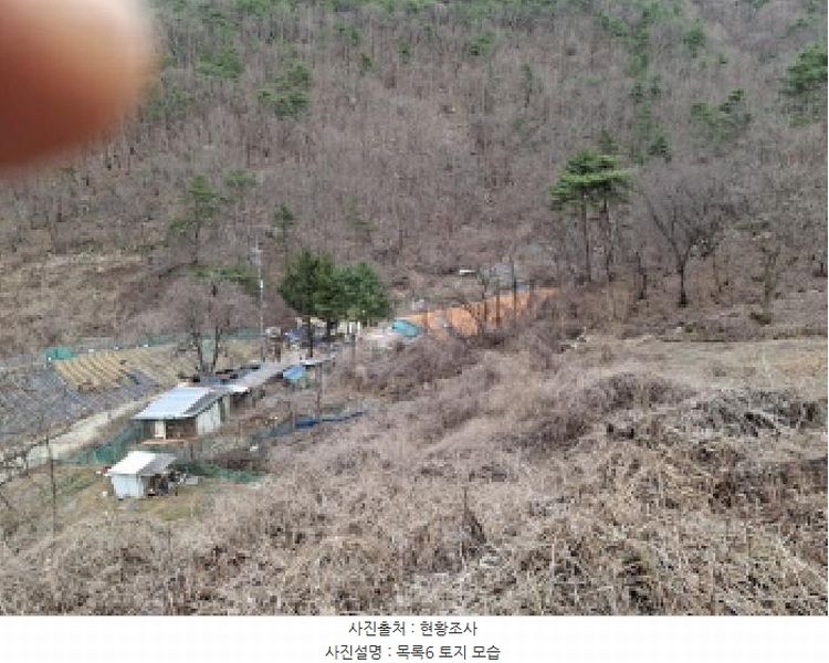 2025타경1580 대전광역시 동구 상소동 산7-1 임야 경매 이미지