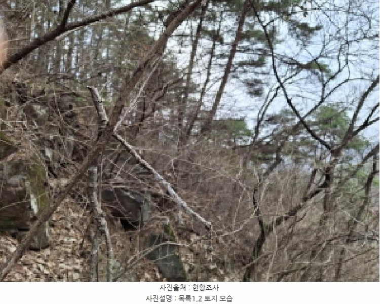 2025타경1580 대전광역시 동구 상소동 산7-1 임야 경매 이미지