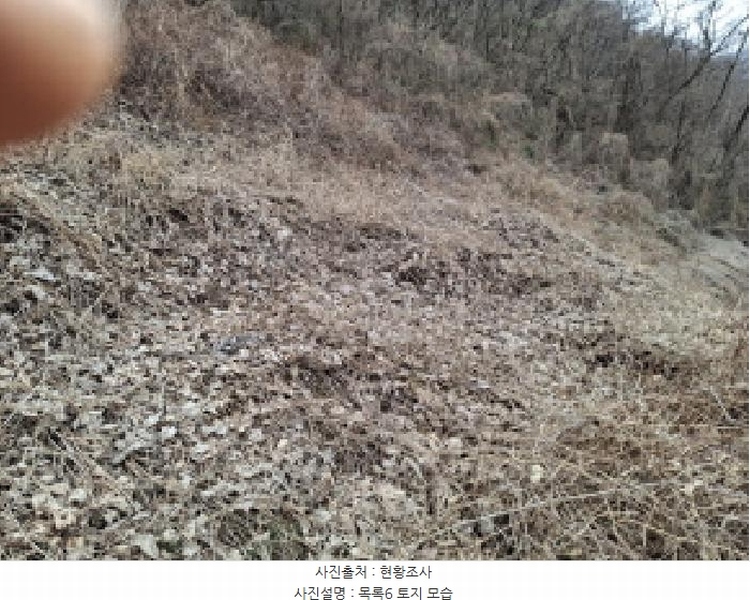 2025타경1580 대전광역시 동구 상소동 산7-1 임야 경매 이미지