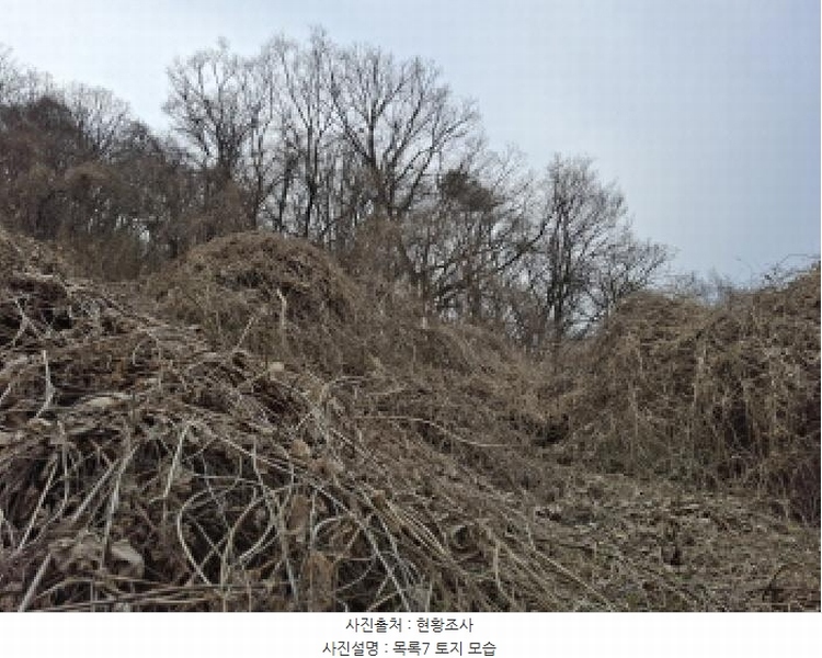 2025타경1580 대전광역시 동구 상소동 산7-1 임야 경매 이미지