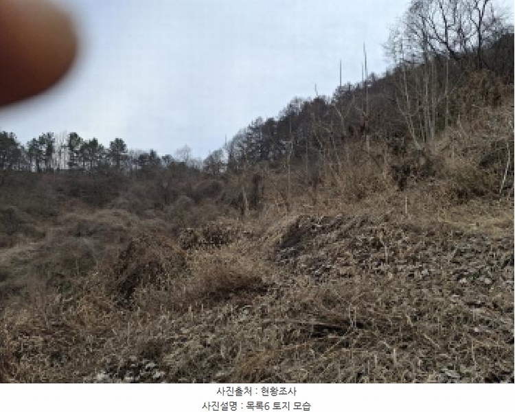 2025타경1580 대전광역시 동구 상소동 산7-1 임야 경매 이미지